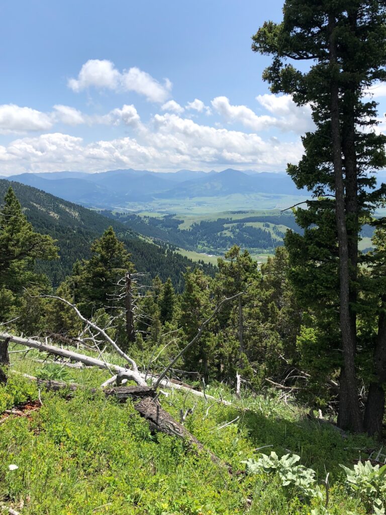 Mountain valley view under a bright blue sky